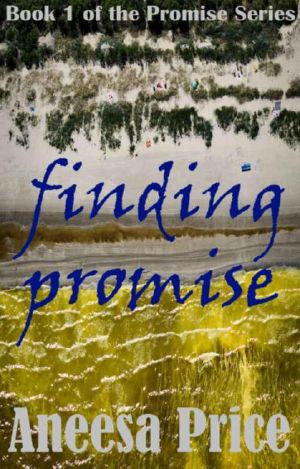 [Promise 01] • Finding Promise (The Promise Series, a Small Town Romance)